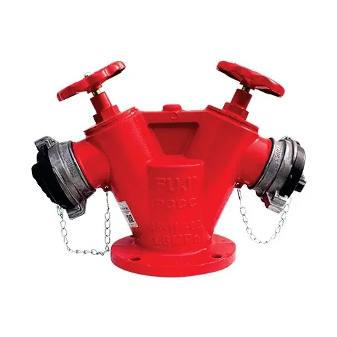 TRỤ CẤP NƯỚC CHỮA CHÁY 2 CỬA DN65 - MẶT BÍCH DN80